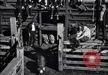 Standbild Schweinefleisch Verpackung United States USA, 1919, aus Sekunde 25 historischem Filmmaterial Videoclip 65675030037