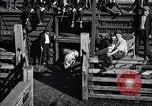 Standbild Schweinefleisch Verpackung United States USA, 1919, aus Sekunde 26 historischem Filmmaterial Videoclip 65675030037