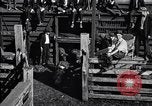Standbild Schweinefleisch Verpackung United States USA, 1919, aus Sekunde 27 historischem Filmmaterial Videoclip 65675030037