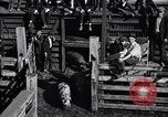 Standbild Schweinefleisch Verpackung United States USA, 1919, aus Sekunde 28 historischem Filmmaterial Videoclip 65675030037