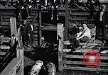 Standbild Schweinefleisch Verpackung United States USA, 1919, aus Sekunde 29 historischem Filmmaterial Videoclip 65675030037