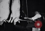 Standbild Schweinefleisch Verpackung United States USA, 1919, aus Sekunde 44 historischem Filmmaterial Videoclip 65675030037