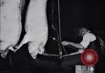 Standbild Schweinefleisch Verpackung United States USA, 1919, aus Sekunde 45 historischem Filmmaterial Videoclip 65675030037