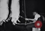 Standbild Schweinefleisch Verpackung United States USA, 1919, aus Sekunde 46 historischem Filmmaterial Videoclip 65675030037