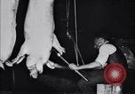 Standbild Schweinefleisch Verpackung United States USA, 1919, aus Sekunde 47 historischem Filmmaterial Videoclip 65675030037