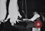 Standbild Schweinefleisch Verpackung United States USA, 1919, aus Sekunde 48 historischem Filmmaterial Videoclip 65675030037