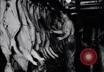 Standbild Schweinefleisch Verpackung United States USA, 1919, aus Sekunde 50 historischem Filmmaterial Videoclip 65675030037