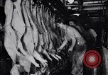 Standbild Schweinefleisch Verpackung United States USA, 1919, aus Sekunde 53 historischem Filmmaterial Videoclip 65675030037