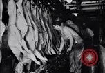 Standbild Schweinefleisch Verpackung United States USA, 1919, aus Sekunde 54 historischem Filmmaterial Videoclip 65675030037