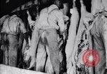 Standbild Schweinefleisch Verpackung United States USA, 1919, aus Sekunde 62 historischem Filmmaterial Videoclip 65675030037