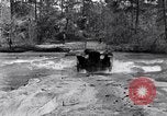 Standbild Ford Model T United States USA, 1920, aus Sekunde 48 historischem Filmmaterial Videoclip 65675030080