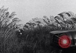 Immagine di Ford Modello T automobili United States USA, 1923, secondo 25 filmato di repertorio 65675030086