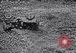 Image of army jeep United States USA, 1941, second 10 stock footage video 65675030113