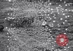 Image of army jeep United States USA, 1941, second 13 stock footage video 65675030113