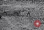 Image of army jeep United States USA, 1941, second 15 stock footage video 65675030113