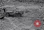 Image of army jeep United States USA, 1941, second 19 stock footage video 65675030113