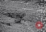 Image of army jeep United States USA, 1941, second 24 stock footage video 65675030113