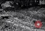 Image of Ford model tank United States USA, 1942, second 50 stock footage video 65675030114