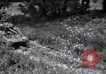 Image of Ford model tank United States USA, 1942, second 51 stock footage video 65675030114