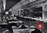 Immagine di Ford Laboratorio di Ingegneria United States USA, 1931, secondo 9 filmato di repertorio 65675030118