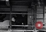 Image of Diego Rivera Detroit Michigan USA, 1932, second 54 stock footage video 65675030133