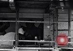 Image of Diego Rivera Detroit Michigan USA, 1932, second 57 stock footage video 65675030133