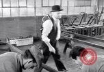 Image of Ford automobile factory United States USA, 1933, second 23 stock footage video 65675030145