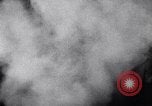 Image of meat canning United States USA, 1919, second 51 stock footage video 65675030151