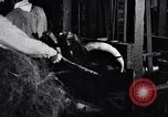 Image of carding machinery United States USA, 1919, second 9 stock footage video 65675030152