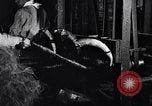 Image of carding machinery United States USA, 1919, second 10 stock footage video 65675030152