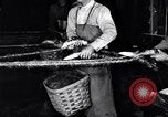 Image of carding machinery United States USA, 1919, second 27 stock footage video 65675030152