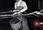 Image of carding machinery United States USA, 1919, second 28 stock footage video 65675030152