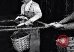 Image of carding machinery United States USA, 1919, second 29 stock footage video 65675030152