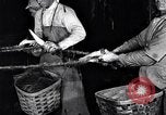 Image of carding machinery United States USA, 1919, second 30 stock footage video 65675030152
