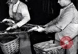 Image of carding machinery United States USA, 1919, second 31 stock footage video 65675030152