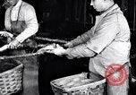 Image of carding machinery United States USA, 1919, second 32 stock footage video 65675030152