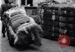 Image of bales of cotton United States USA, 1922, second 27 stock footage video 65675030186