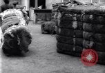 Image of bales of cotton United States USA, 1922, second 28 stock footage video 65675030186