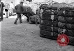 Image of bales of cotton United States USA, 1922, second 41 stock footage video 65675030186