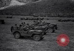 Image of American Army jeeps United States USA, 1942, second 10 stock footage video 65675030194