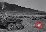 Image of American Army jeeps United States USA, 1942, second 33 stock footage video 65675030194