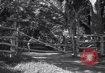 Image of American Army jeeps United States USA, 1942, second 54 stock footage video 65675030194