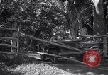 Image of American Army jeeps United States USA, 1942, second 55 stock footage video 65675030194
