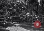 Image of American Army jeeps United States USA, 1942, second 57 stock footage video 65675030194