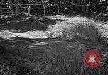 Image of American Army jeeps United States USA, 1942, second 61 stock footage video 65675030194