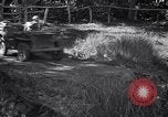 Image of American Army jeeps United States USA, 1942, second 62 stock footage video 65675030194