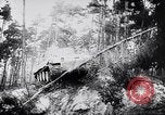 Standbild Deutsche Panzer VI Tiger Panzer Deutschland, 1943, aus Sekunde 50 historischem Filmmaterial Videoclip 65675030196