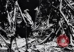 Immagine di Bombardieri giapponesi Darwin Australia, 1943, secondo 46 filmato di repertorio 65675030197