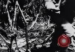 Immagine di Bombardieri giapponesi Darwin Australia, 1943, secondo 47 filmato di repertorio 65675030197