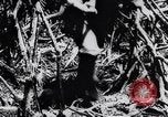 Immagine di Bombardieri giapponesi Darwin Australia, 1943, secondo 48 filmato di repertorio 65675030197